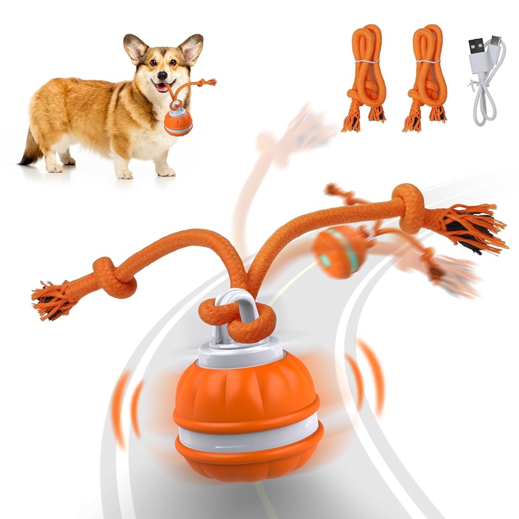 Qpets® Electric Cat Ball Toy USB Rechargeable Ball Toy Cat Teaser Toy with LED Light & Chirping Sound Fun Speedy Chasing Ball Toy with Teasing Rope Tail Self Entertainment Toy for Cats Dogs Qpets® Electric Cat Ball Toy USB Rechargeable Ball Toy Cat Teaser Toy with LED Light & Chirping Sound Fun Speedy Chasing Ball Toy with Teasing Rope Tail Self Entertainment Toy for Cats Dogs
